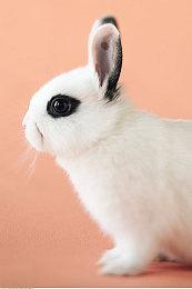 类银河恶魔城动作游戏《Voidwrought》现已推出试玩Demo 10月25日正式发售